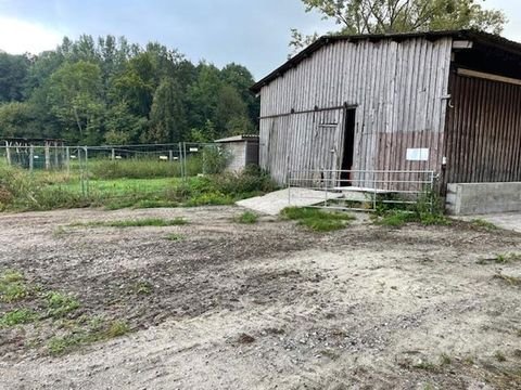 Seesen Bauernhöfe, Landwirtschaft, Seesen Forstwirtschaft