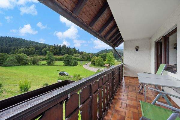 EG | Balkon in Südwestausrichtung (2)