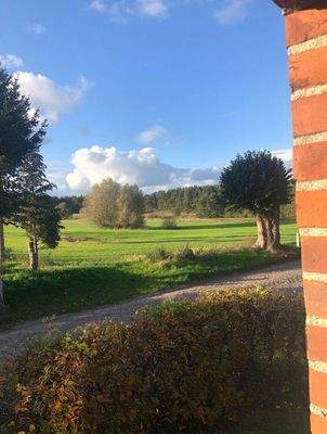 Blick nach Westen zum Wald