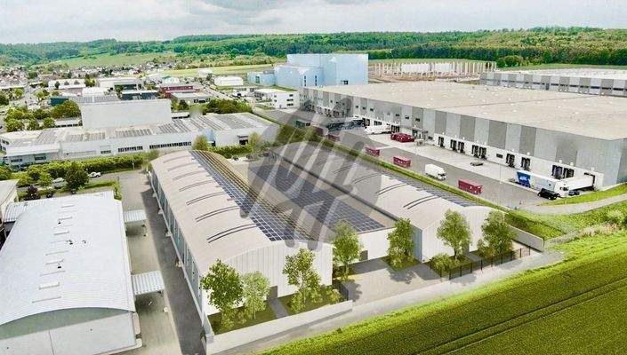 INFOS UNTER: 06171-586000