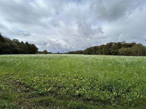 Borken Bauernhöfe, Landwirtschaft, Borken Forstwirtschaft