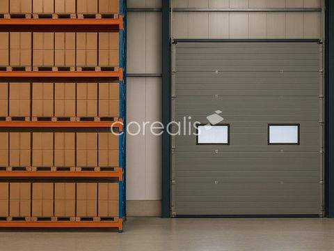 Mönchengladbach Halle, Mönchengladbach Hallenfläche