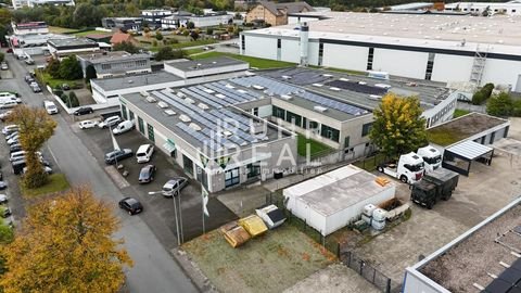 Paderborn Halle, Paderborn Hallenfläche