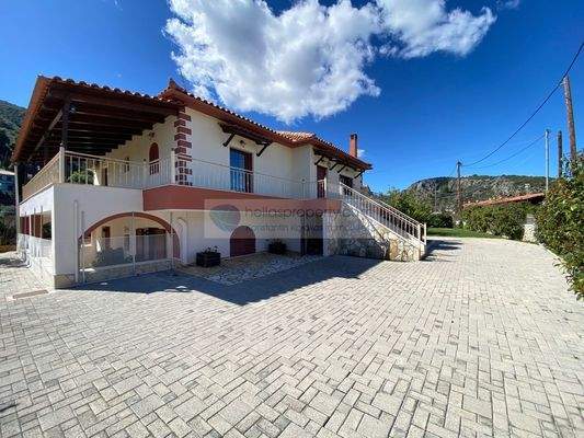 img_6b5b037a-7b3a-4810-9500-27b5c518c883