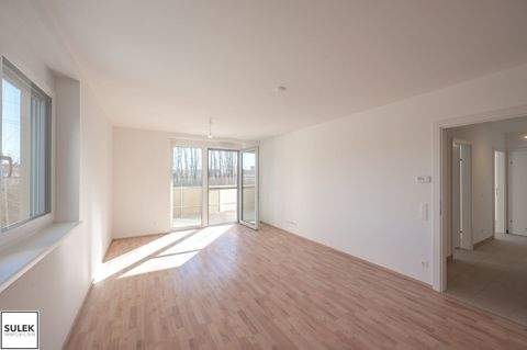 Eisenstadt Wohnungen, Eisenstadt Wohnung mieten