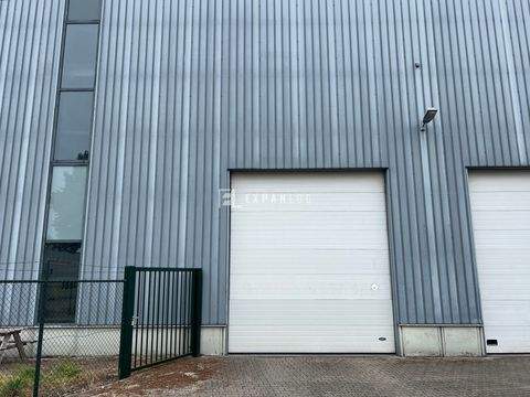 Haan Halle, Haan Hallenfläche