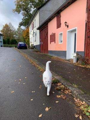 2 Straßenansicht .jpg