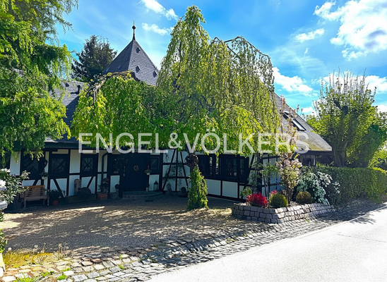 Vorderansicht Sommer