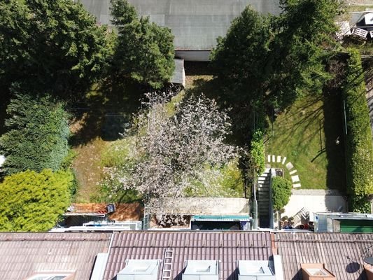 Luftaufnahme I Haus und Gartenansicht