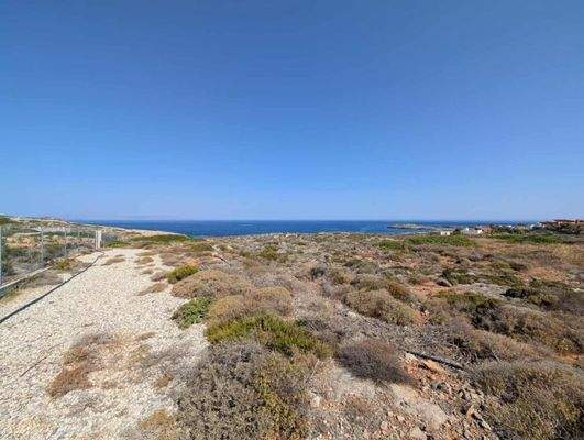 Kreta, Stavros: Küstengrundstücke mit Baugenehmigung und Meerblick zu verkaufen