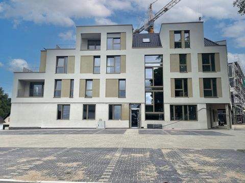 Much Wohnungen, Much Wohnung mieten