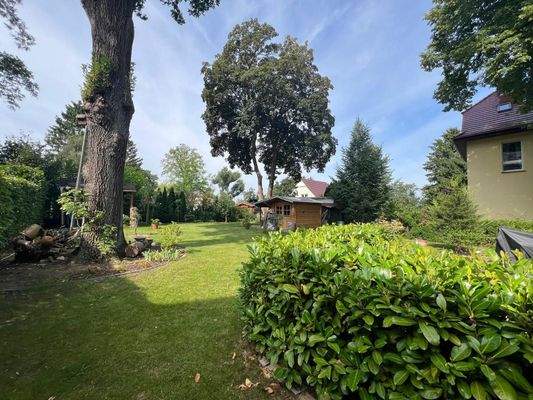 Garten.jpg