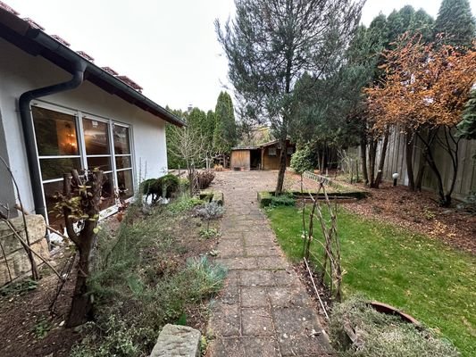 Blick in den Garten (2)