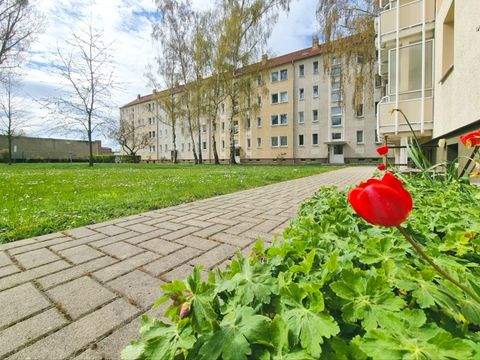 Magdeburg Wohnungen, Magdeburg Wohnung mieten