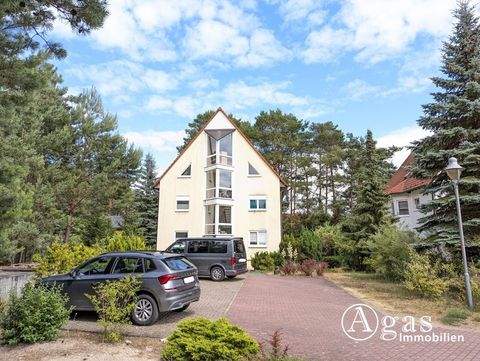Borkheide Wohnungen, Borkheide Wohnung kaufen