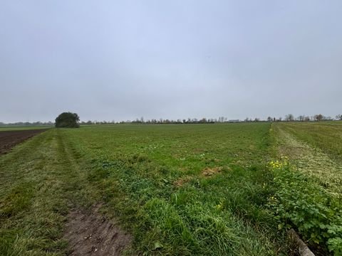 Königsbrunn Bauernhöfe, Landwirtschaft, Königsbrunn Forstwirtschaft