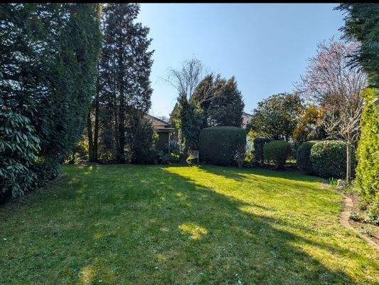 Großer und eingewachsener Garten.