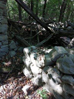 Immagine WhatsApp 2023-11-09 ore 14.26.02_474f756d