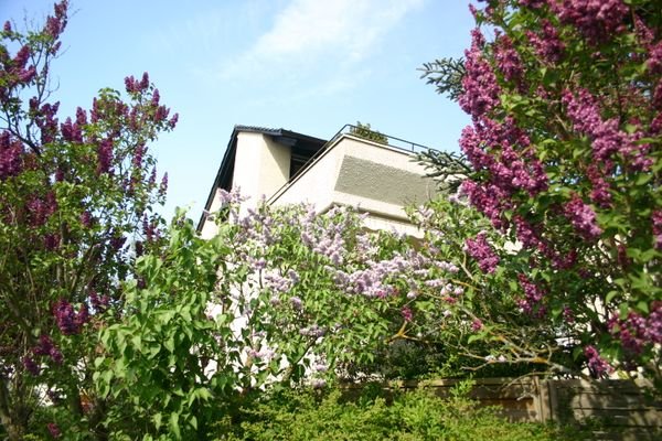 Terrasse mit Weitblick