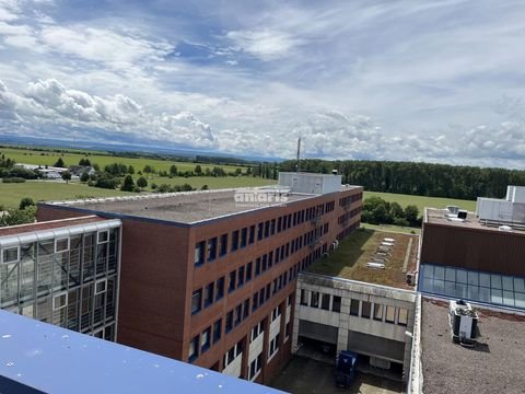 Erfurt Halle, Erfurt Hallenfläche