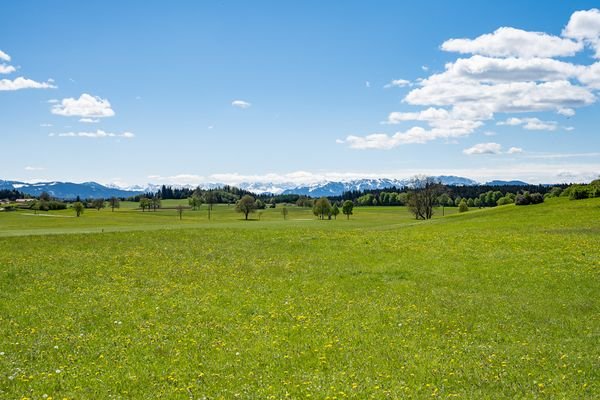 POSTKARTENMOTIV - Ein Ausflug In die Berge ist lediglich ein Katzensprung 