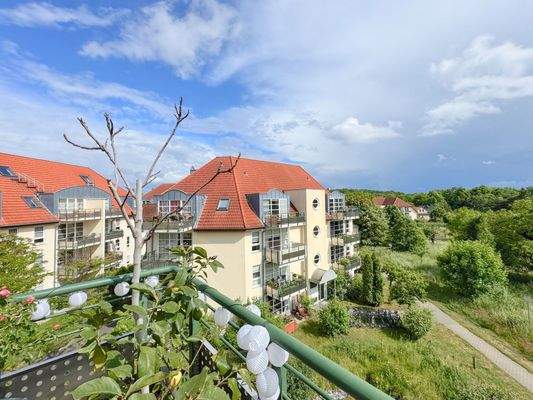 Blick auf die Obstwiese