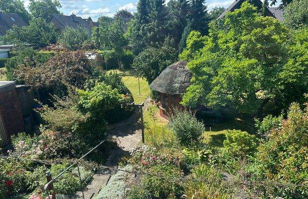 Blick in den Garten aus dem DG