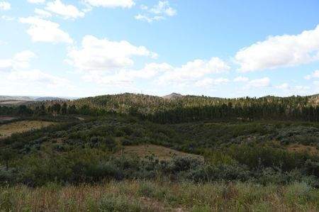 PHOTO-2021-06-08-08-09-17