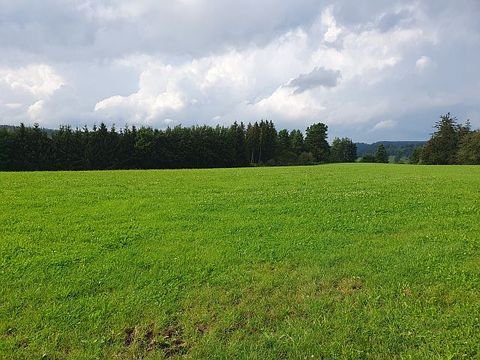 Friesenried Bauernhöfe, Landwirtschaft, Friesenried Forstwirtschaft