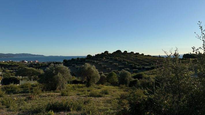 Olivenhain Meerblick Follonica