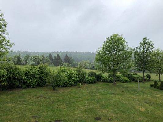 Herrlicher Grünblick.jpeg