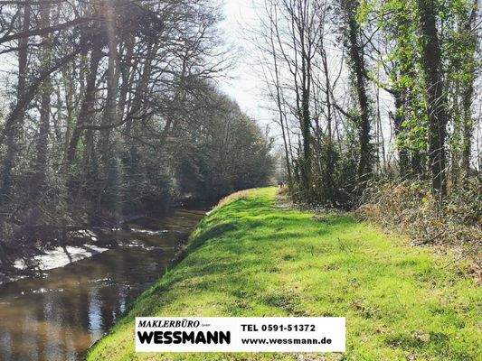 angrenzender Bach
