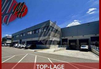 INFOS UNTER: 06171-586000