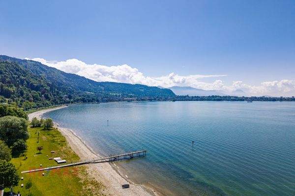 Seesicht  Richtung Bregenz