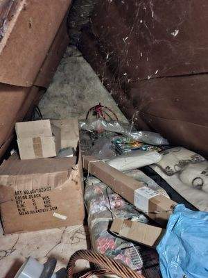 WhatsApp Image 2025-10-13 at 08.55.59 (1)