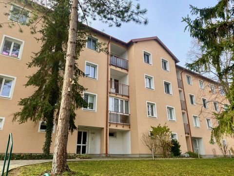 Bad Vöslau Wohnungen, Bad Vöslau Wohnung mieten