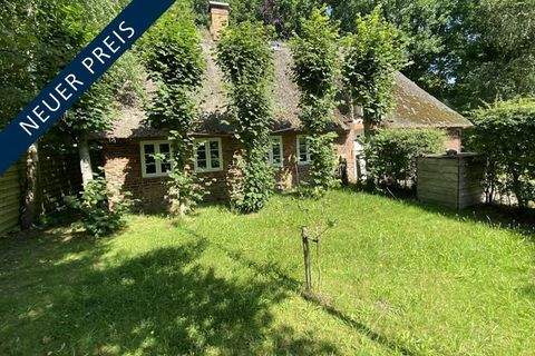 Bordelum Häuser, Bordelum Haus kaufen