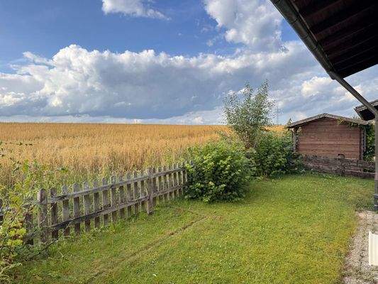 WhatsApp Bild 2025-07-31 um 12.17.23_3a5479f2.jpg