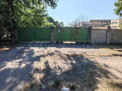 Vidin Halle, Vidin Hallenfläche