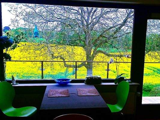 Panoramablick über 2 Felder durch einen Wallnussbaum