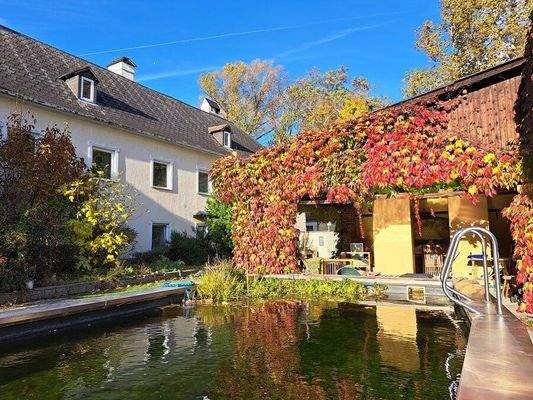 Ansicht Gebäude mit allgemeinem Poll im Vordergrund. Dazwischen private überdachte Terrasse.