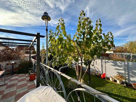 Terrasse/Garten