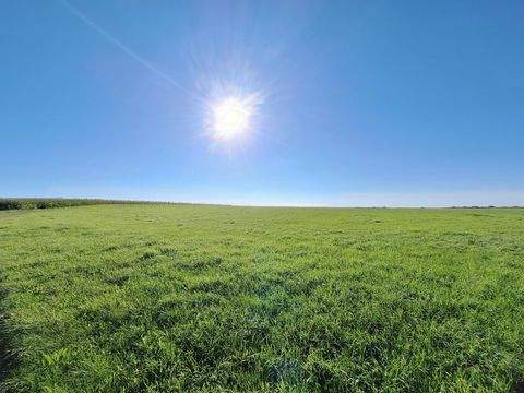 Vogtareuth Bauernhöfe, Landwirtschaft, Vogtareuth Forstwirtschaft