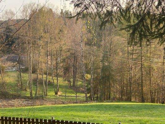 mhmfIhUQ - Kopie.jpeg