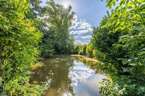 weitere Bilder gerne auf Nachfrage