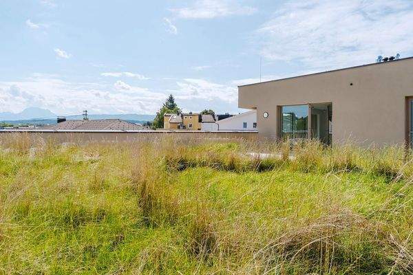 Terrasse mit Dachgarten