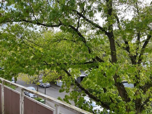 Ausblick Balkon