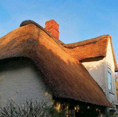 Reetdach überarbeitet 11/22