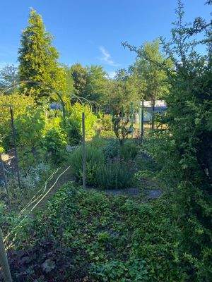 Nordansicht Gemüsegarten