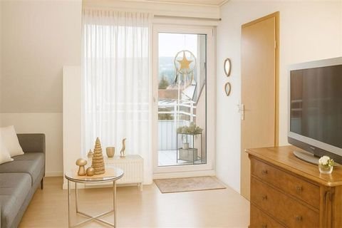 Marktheidenfeld Wohnungen, Marktheidenfeld Wohnung kaufen